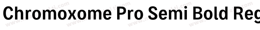 Chromoxome Pro Semi Bold Regular字体转换